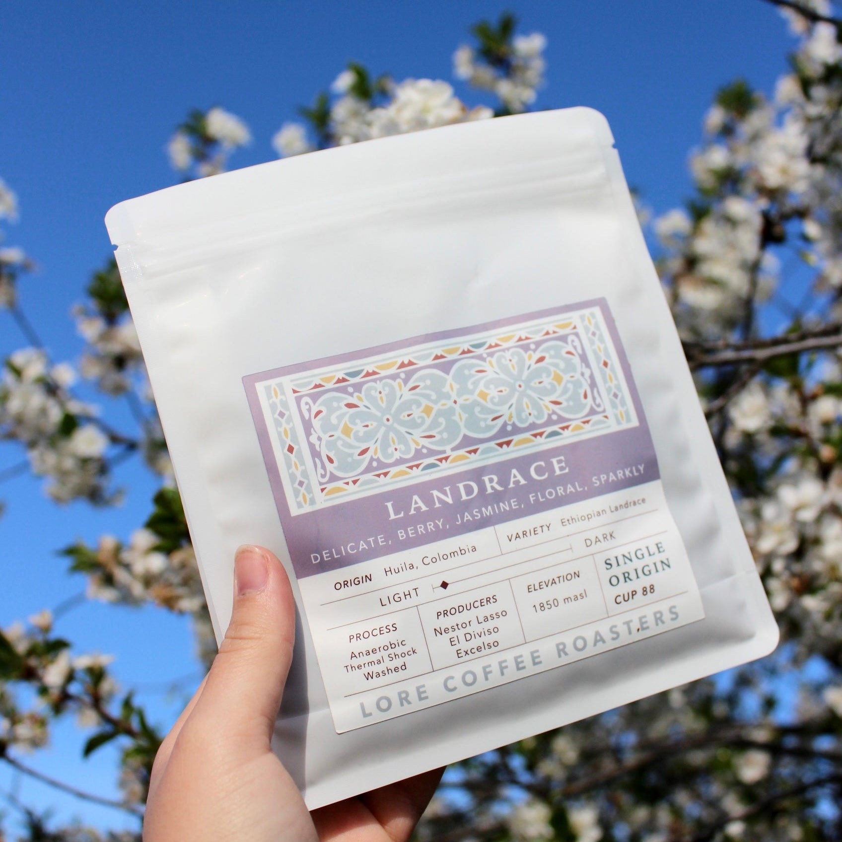 Ethiopian Landrace, Nestor Lasso | From the Vault - 8oz