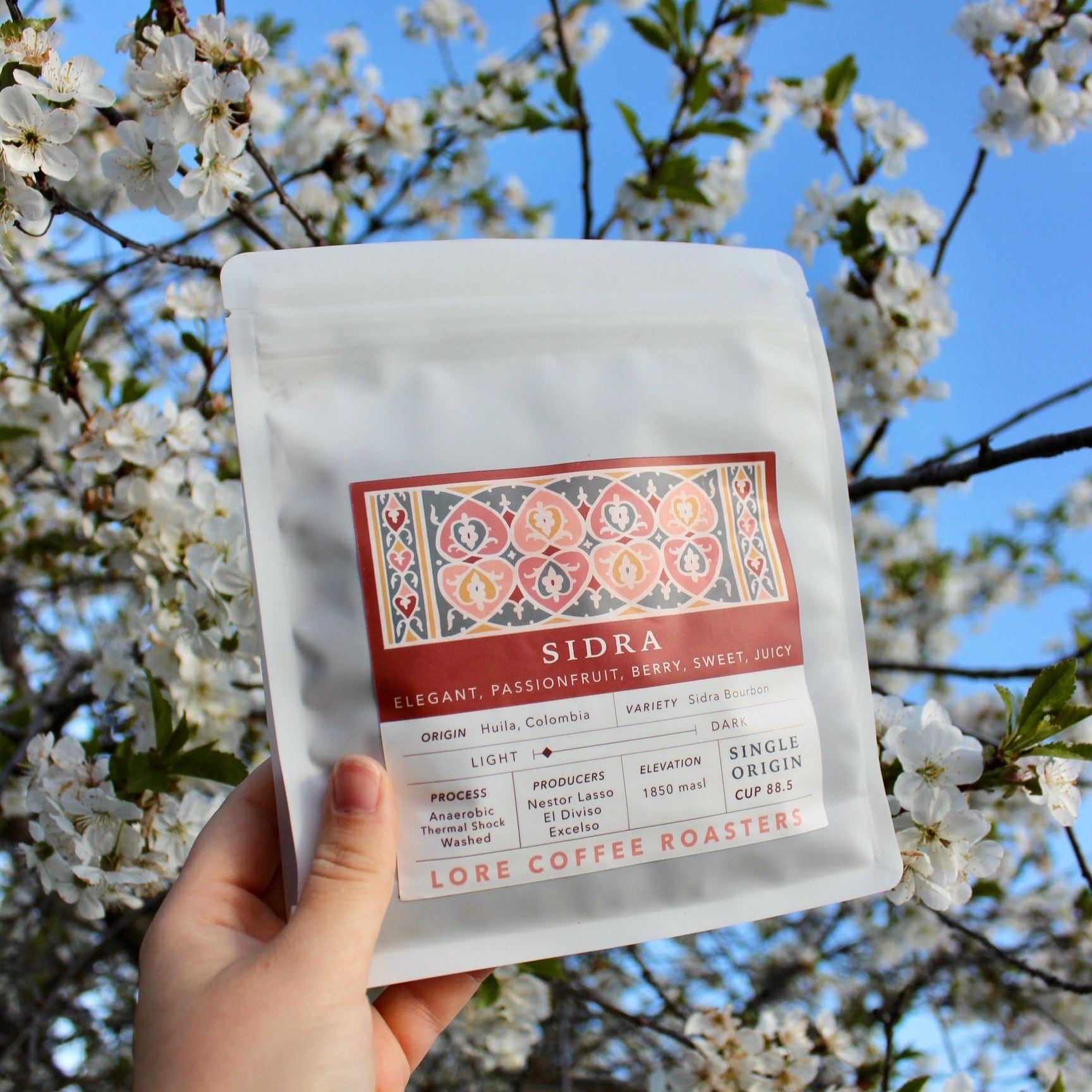 Sidra Bourbon, Nestor Lasso | From the Vault - 8 oz