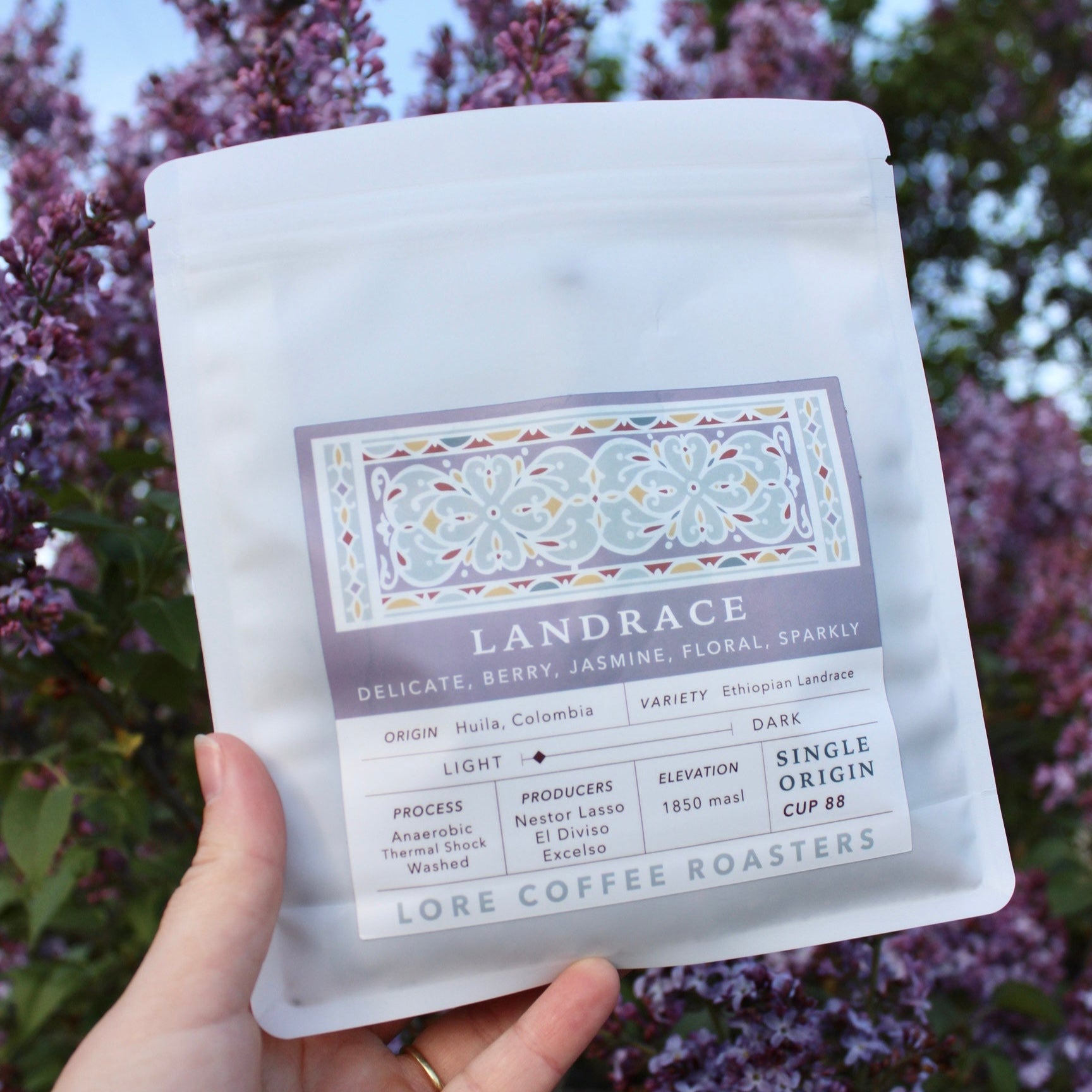 Ethiopian Landrace, Nestor Lasso | From the Vault - 8oz