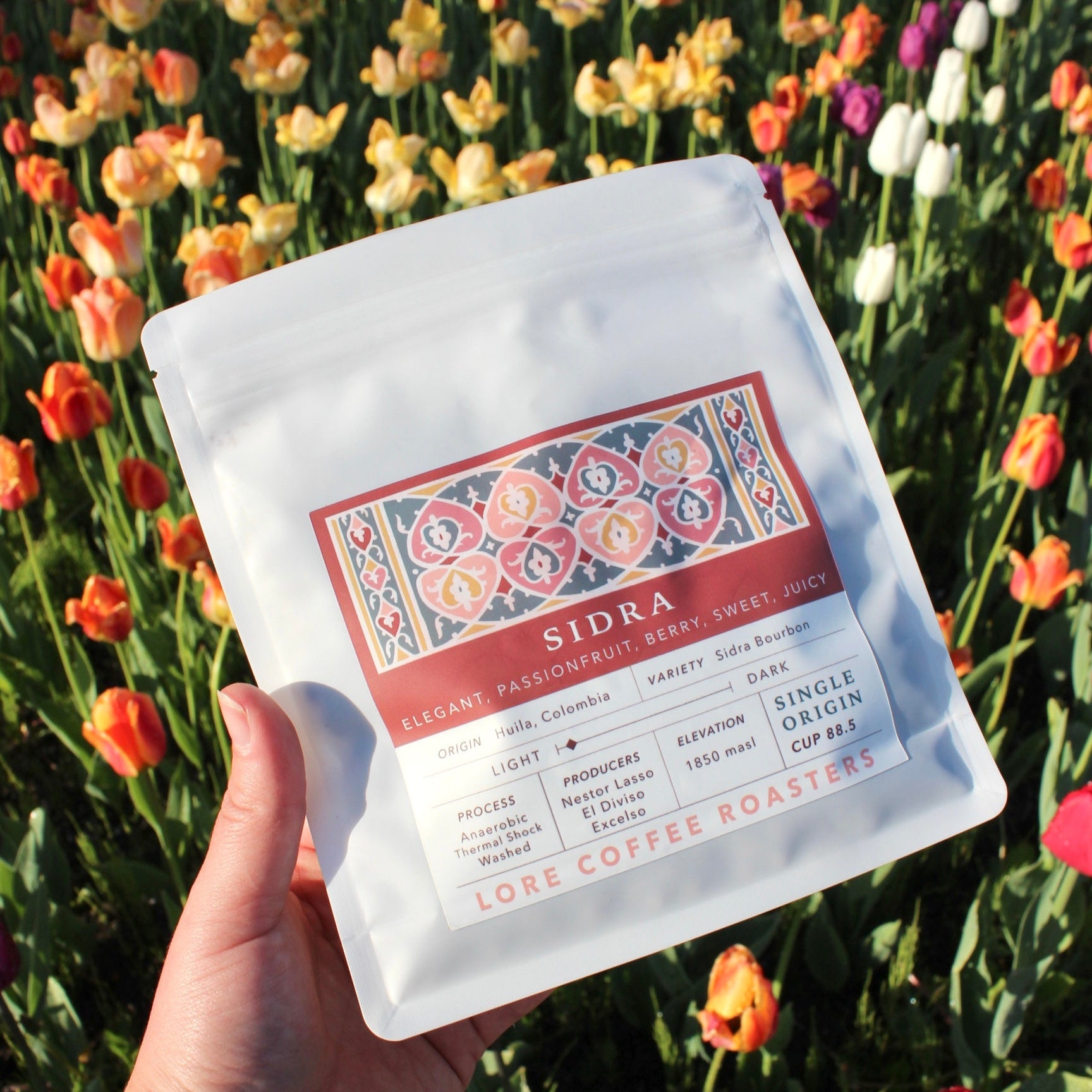 Sidra Bourbon, Nestor Lasso | From the Vault - 8 oz