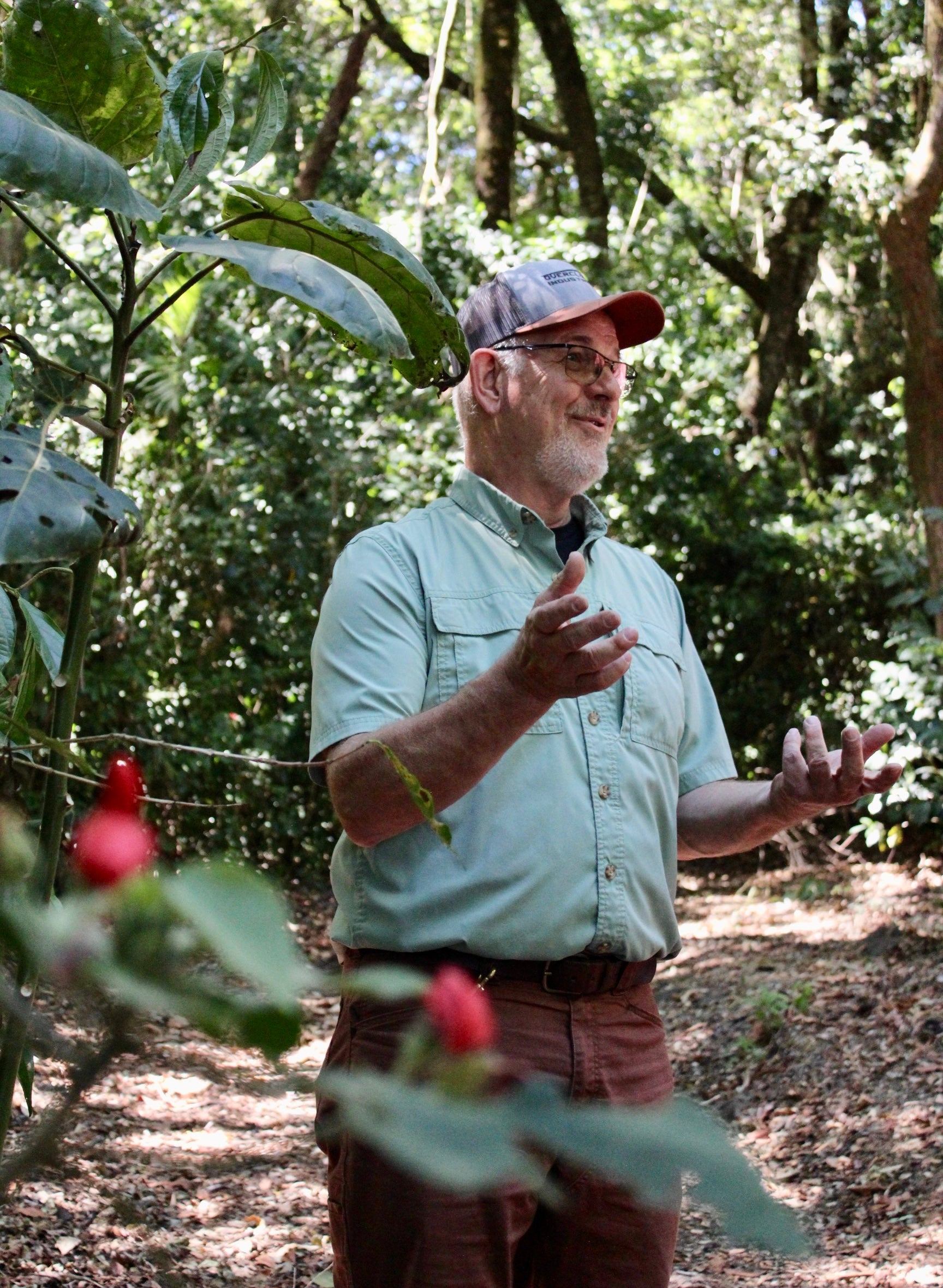 Panama Damarli Estate | Roasted Collection