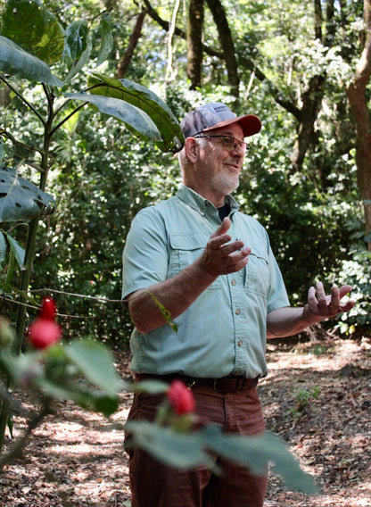 Panama Damarli Estate | Roasted Collection