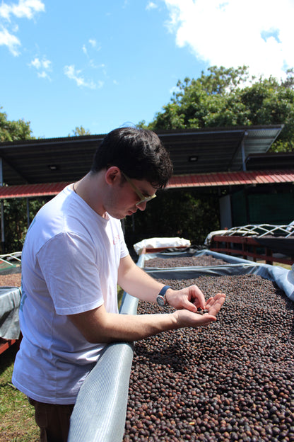 Panama Damarli Estate | Roasted Collection