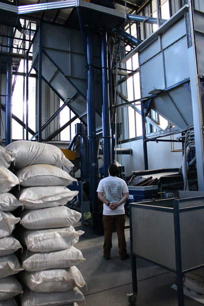 Lore | Graphic Shirt