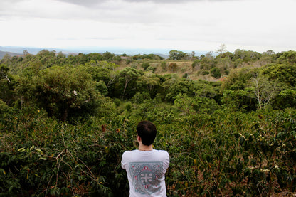 Panama Damarli Estate | Roasted Collection