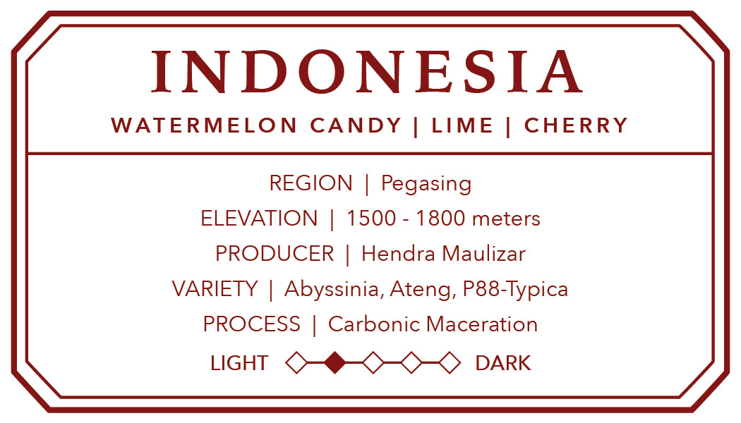 Indonesian Pegasing | Single Origin