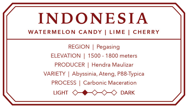 Indonesian Pegasing | Single Origin