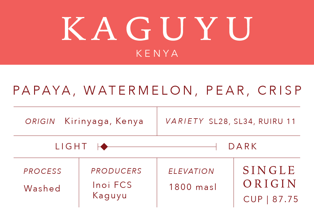 Pre Order: Kaguyu | Single Origin