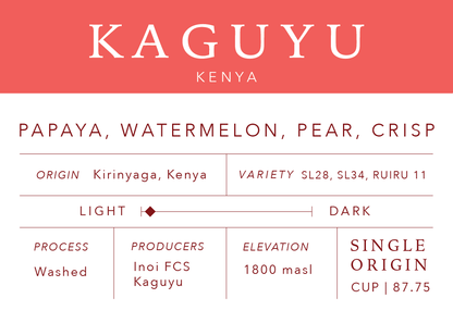 Kaguyu | Single Origin