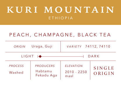 Kuri Mountain | Single Origin