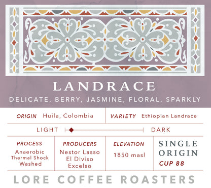 Ethiopian Landrace, Nestor Lasso | From the Vault - 8oz
