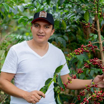 Sidra Bourbon, Nestor Lasso | From the Vault - 8 oz