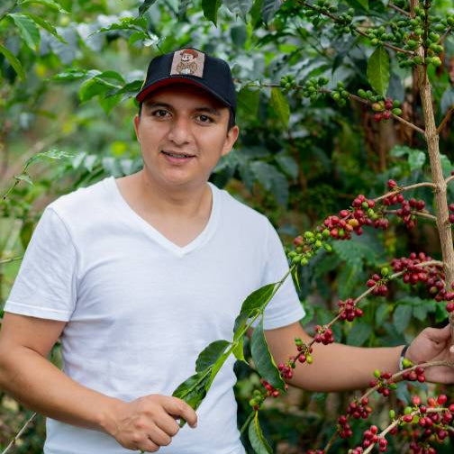 El Diviso, Red Bourbon & Tabi | From the Vault - 8 oz