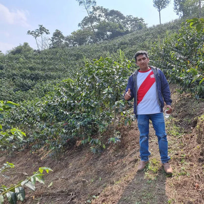 Roger Chilcon | Single Origin