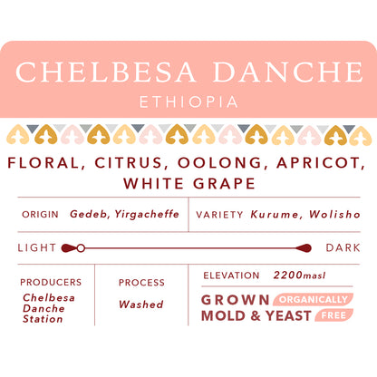 Chelbesa Danche | Single Origin