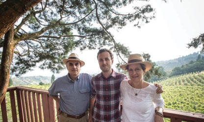 Volcan Azul Honey Decaf | Costa Rica