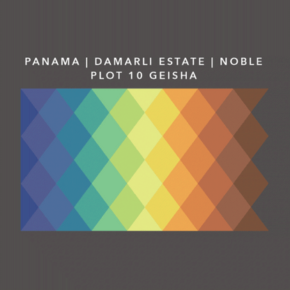 Panama Damarli Estate | Roasted Collection