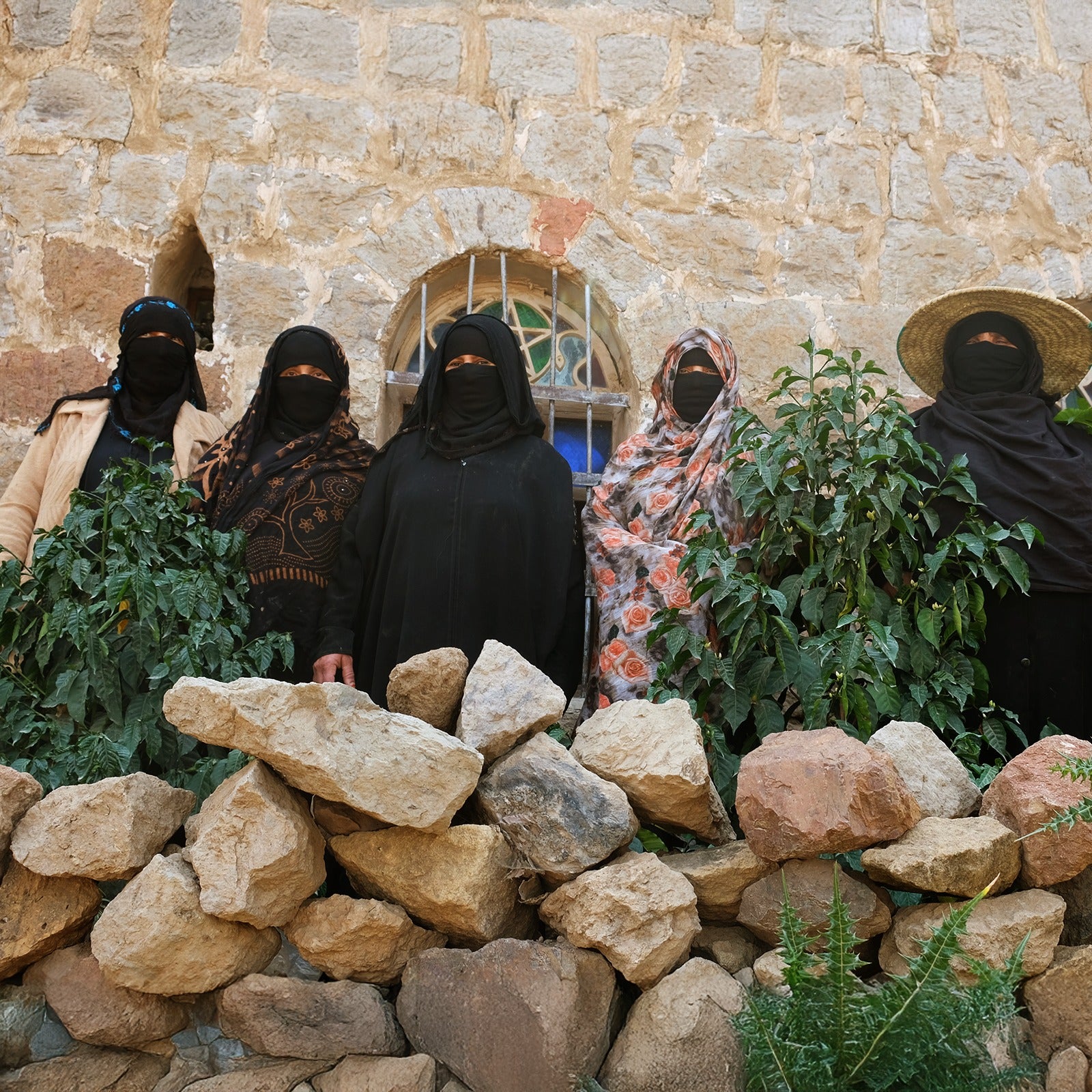 Yemenia & Kent | Rarities