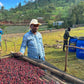 Basha Bekele | Single Origin