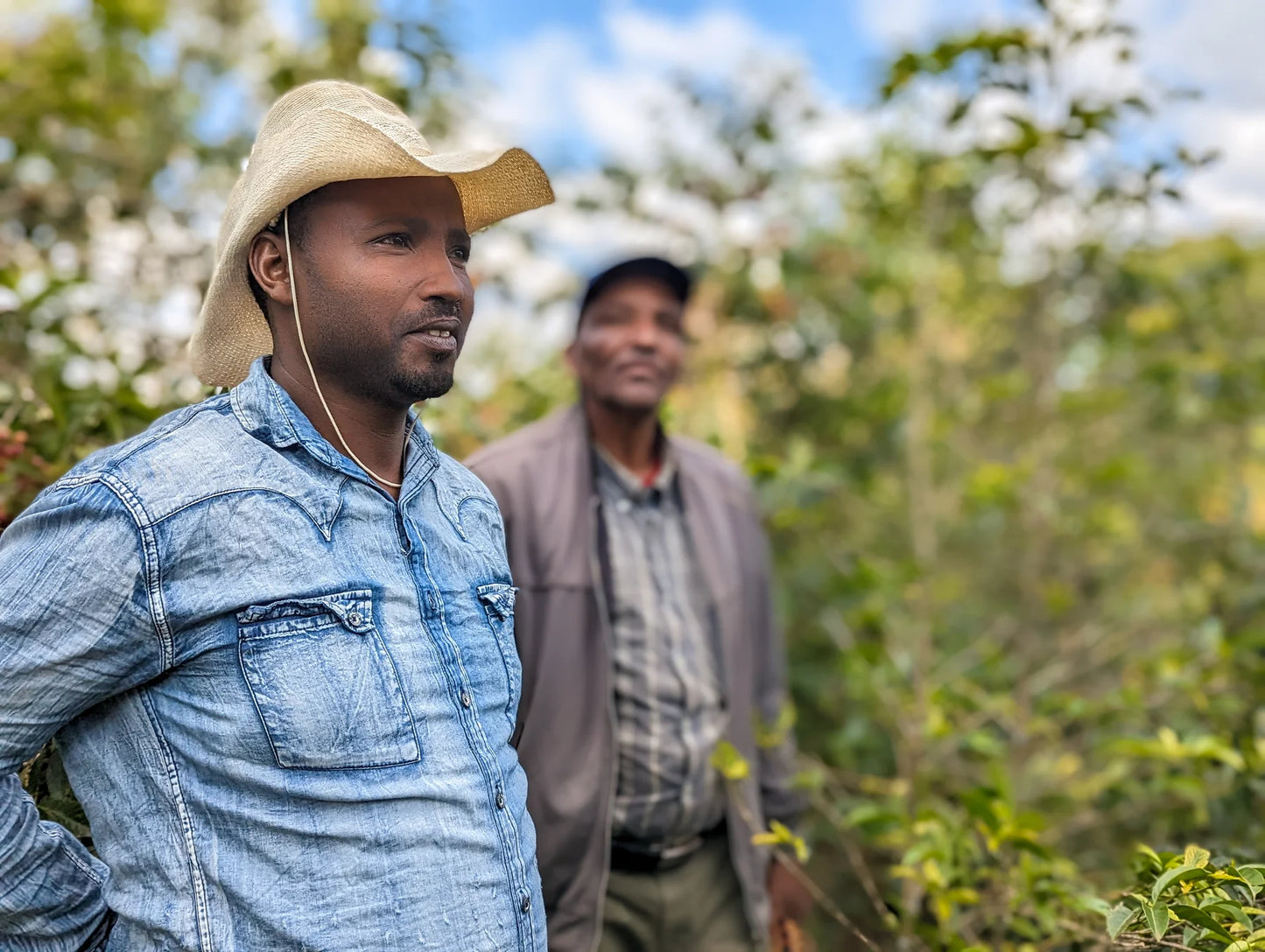 Basha Bekele | Single Origin