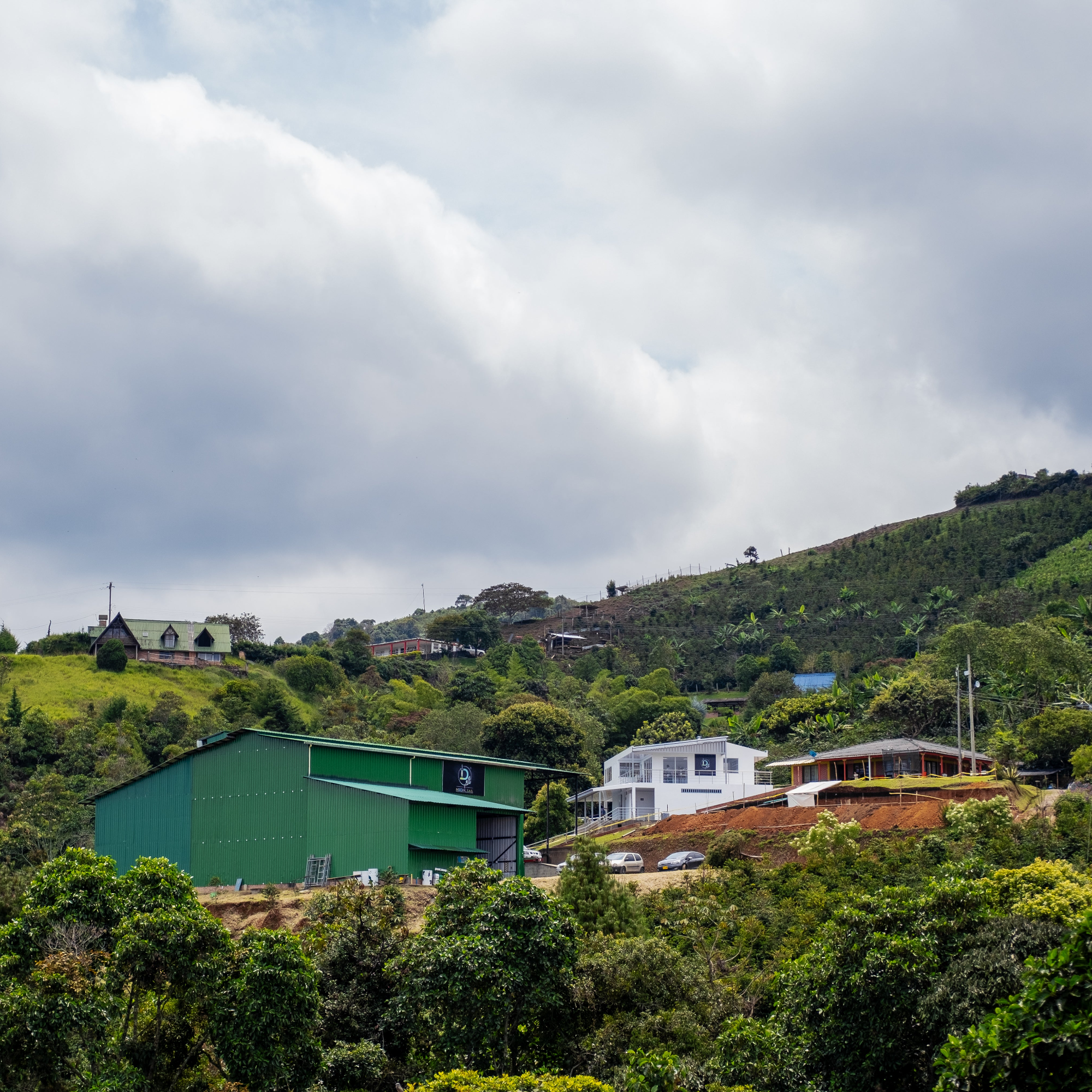 Paraíso | Direct Trade Set, Farm Feature