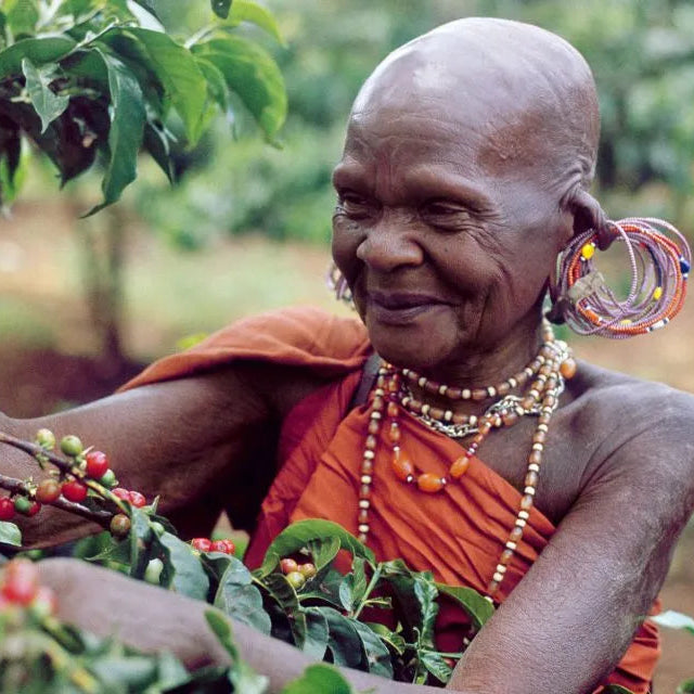 Kaguyu | Single Origin