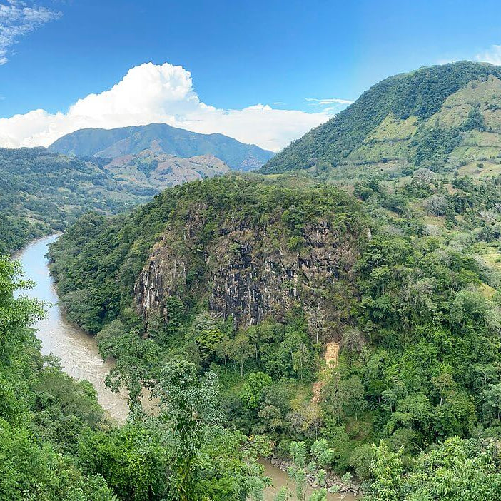 Gesha Pillimue | Colombia