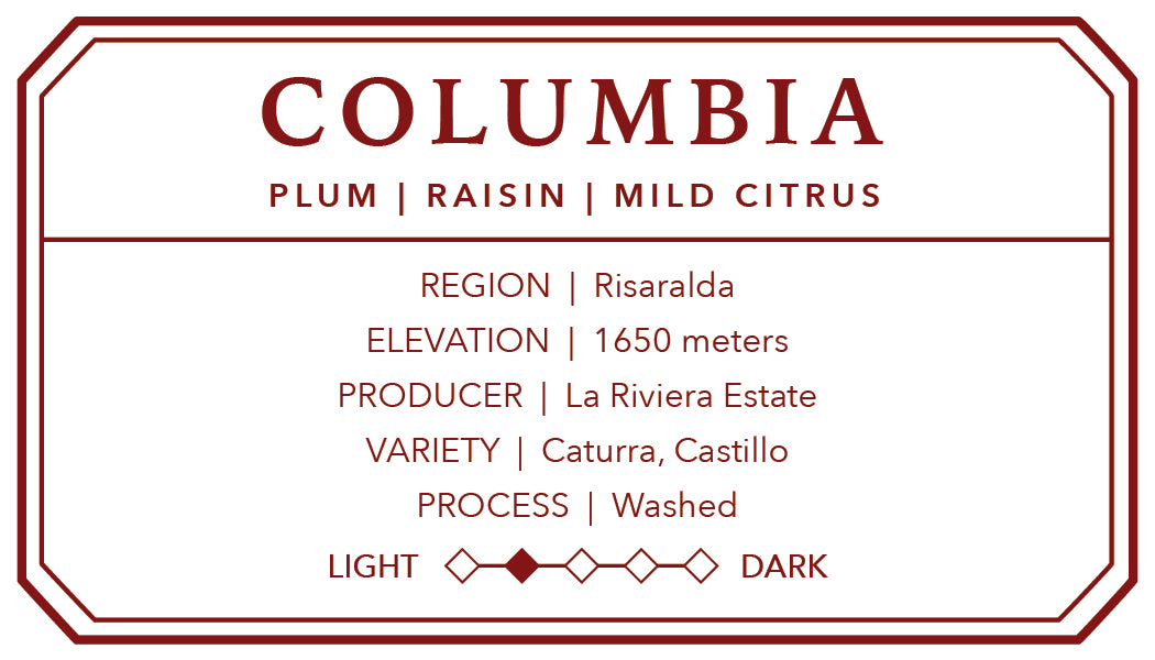 Colombian La Riviera Washed | Single Origin