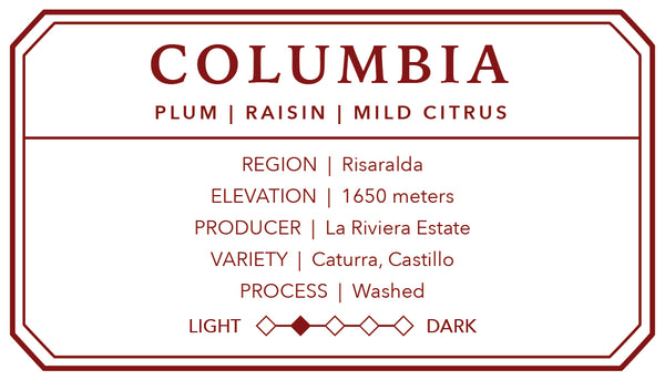 Colombian La Riviera Washed | Single Origin