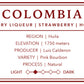 Natural Colombian Single Origin (Old; PB)